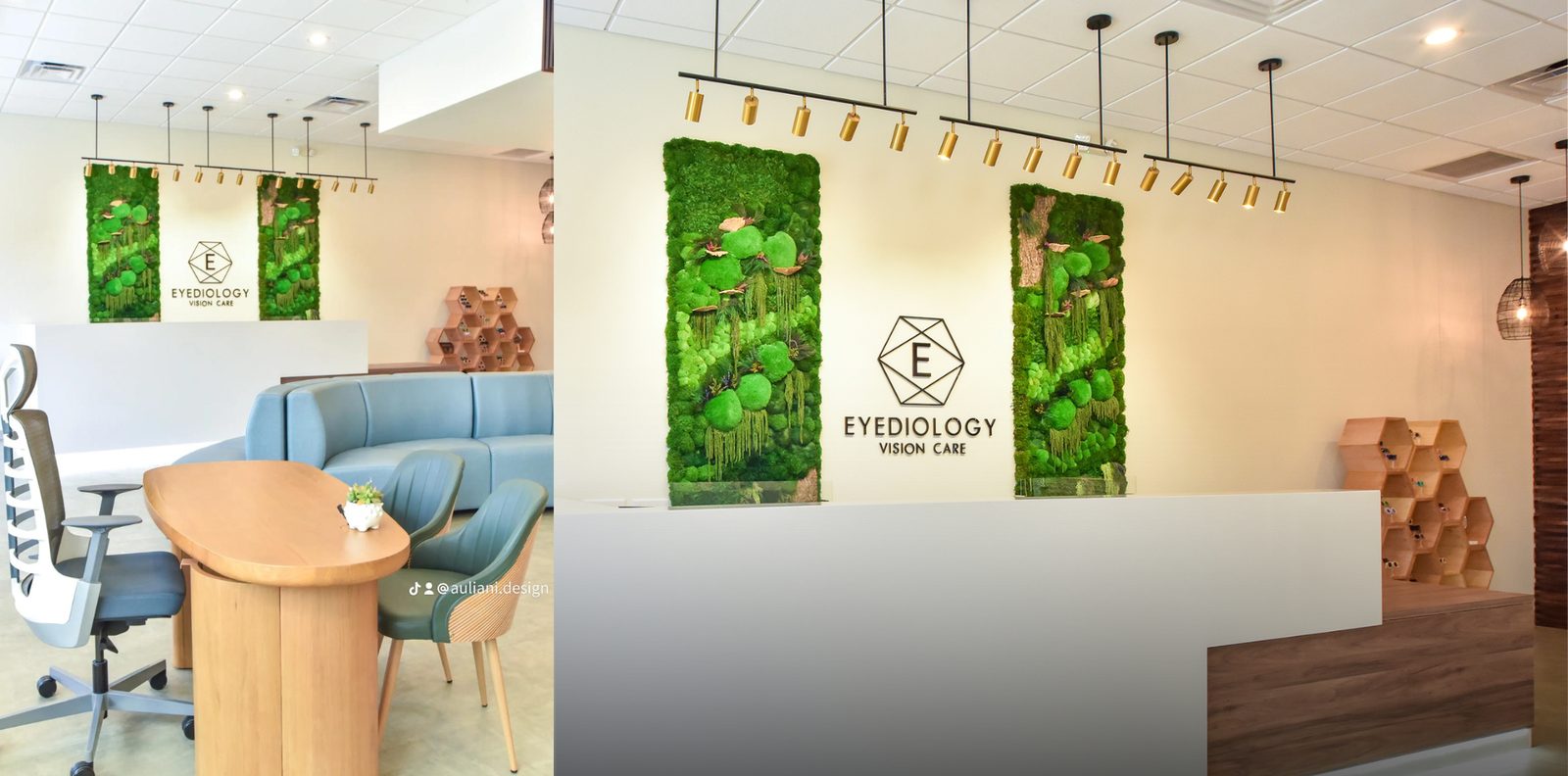 Eyediology Vision Care reception moss wall