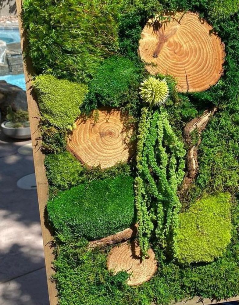 Tall preserved moss panel with wood cross-sections