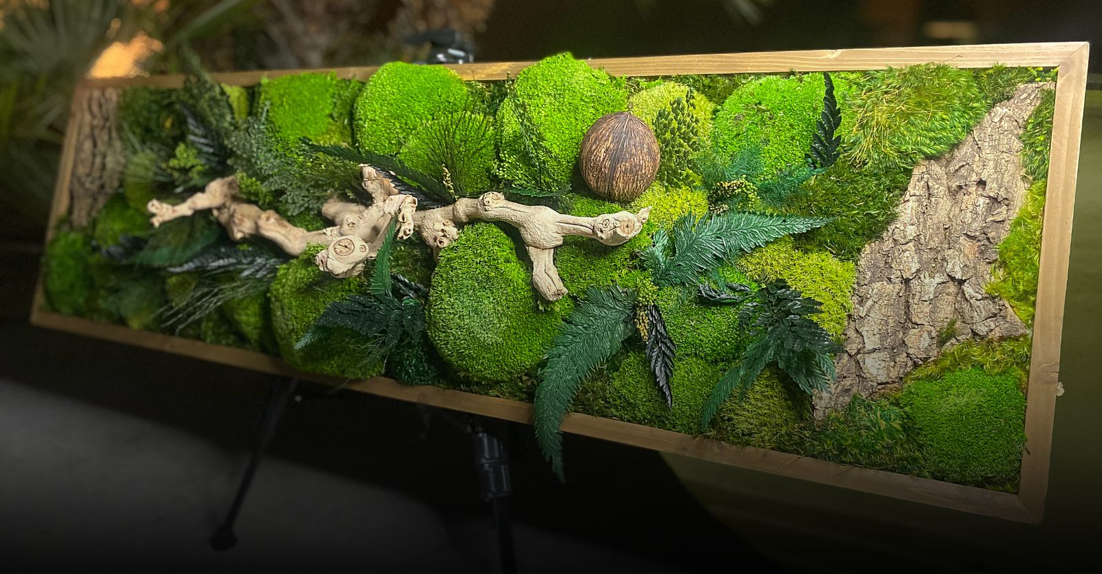 Wide preserved moss installation with driftwood
