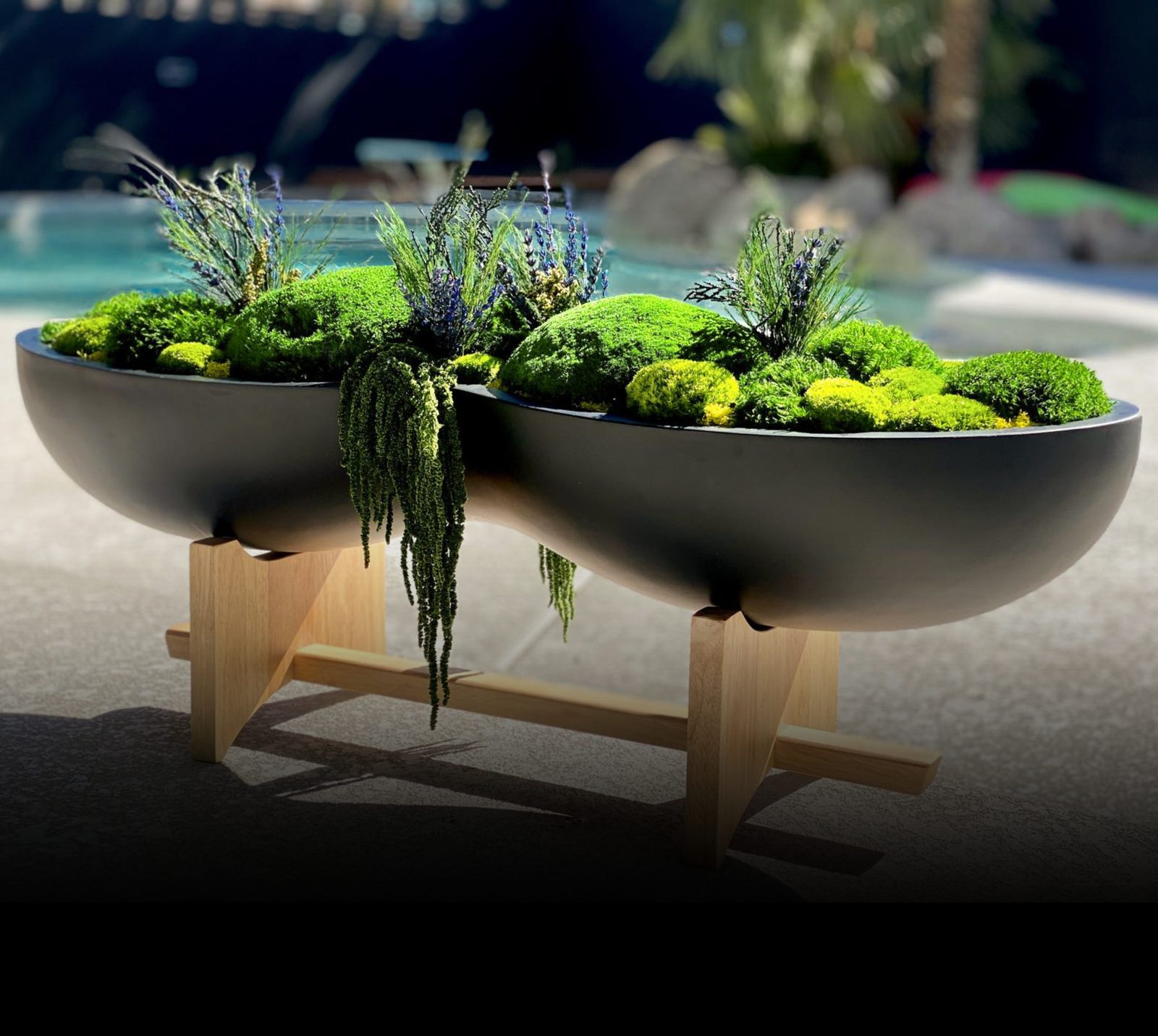 Preserved moss bowl arrangements