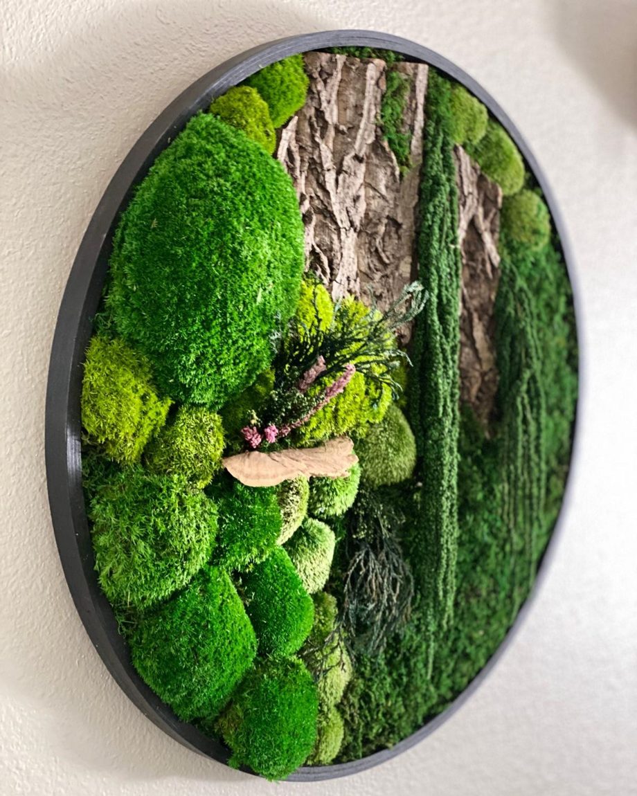 Framed round preserved moss statement piece