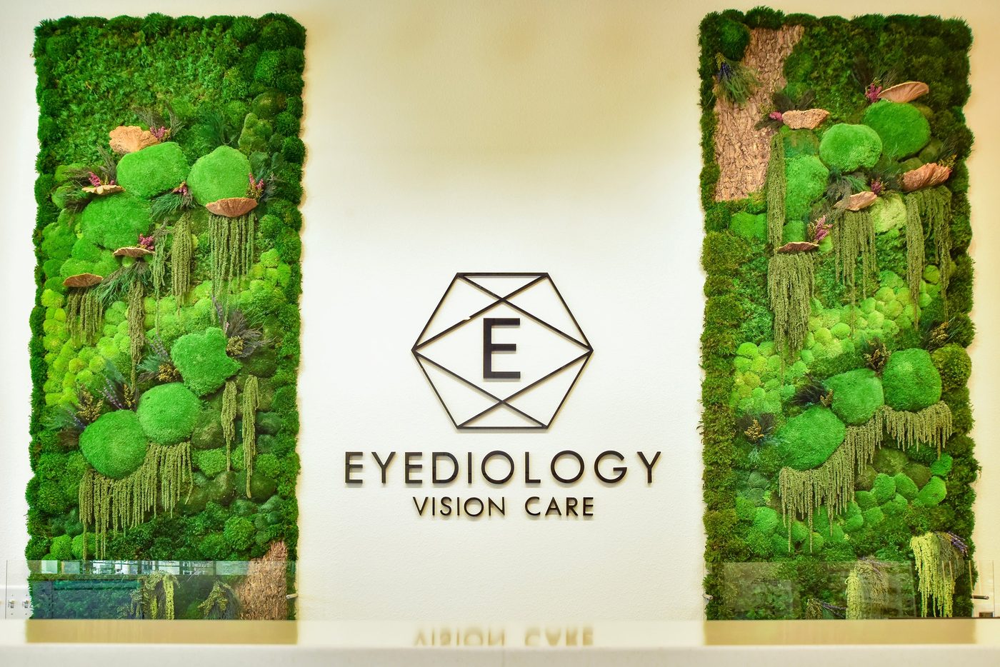 Eyediology Vision Care custom moss logo wall